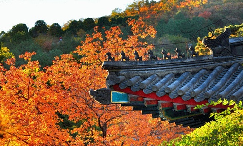 Fragrant-Hills-Park-Beijing