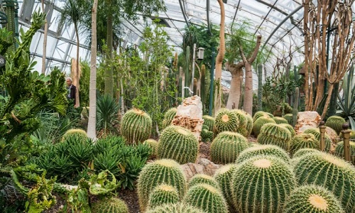 Beijing-Botanical-Garden