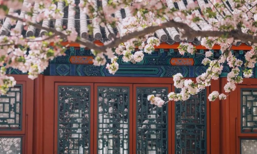 gong-wang-fu-beijing