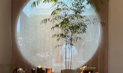 shengyongxing-wudaokou