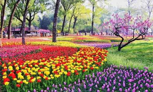Beijing-Botanical-Garden