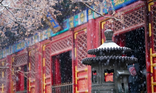 fragrant-hill-winter