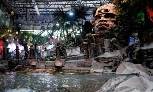 beijing-rainforest-adventure