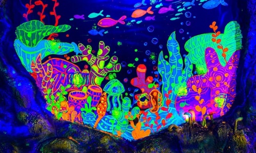 coral-garden-beijing
