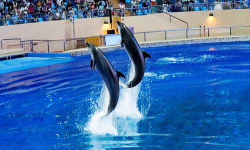 ocean-theater