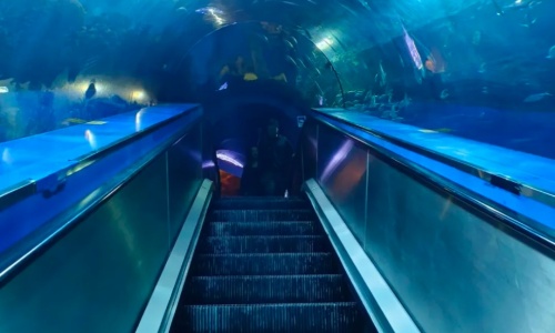 underwater-tunnel-beijing