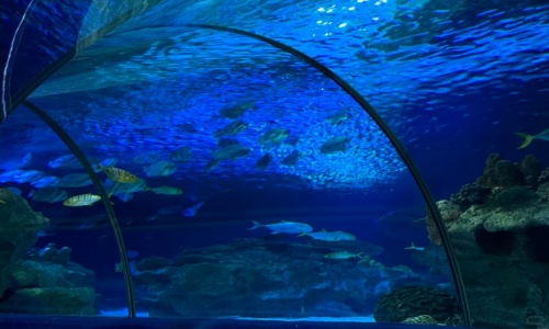 underwater-tunnel