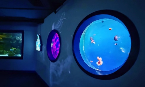 Ocean-Heart-Giant-Circular-Tank