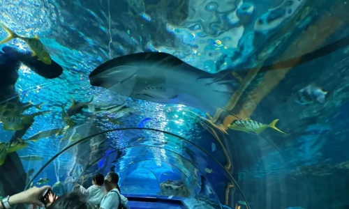Underwater-Tunnel-beijing