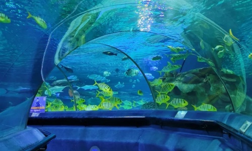 Underwater-Tunnel