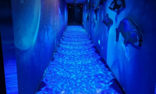 Whale-Listening-Tunnel