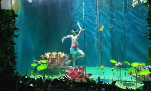 dance-show