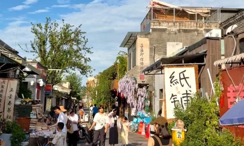 yangmeizhu-xiejie-beijing